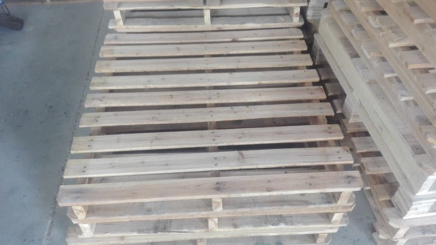 �S�ݶ���ľ�бP